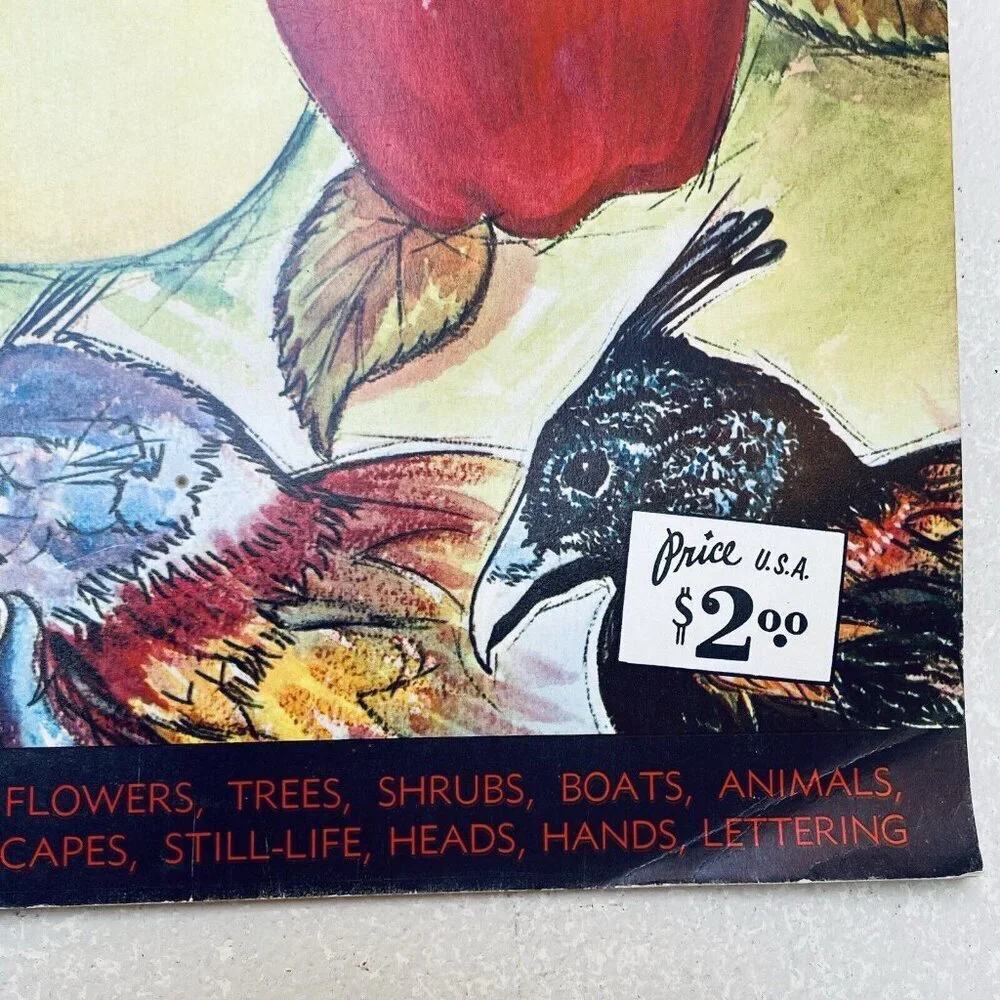 Vintage How‎ To Draw By Walter Foster Butterflies Flowers Trees Shrubs Heads